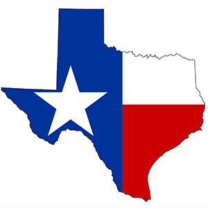 Texas Flag Logo